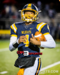 #ok3sports, high, school, football, ok3sports, sports, high school, playoffs, round one, springfield wildcats, springfield wildcats football, springfield high school, springfield wild cats football, fairmont firebirds, fairmont firebirds football, fairmont high school, ohsaa regional, quarterfinals, raheim moss, Tayveon Smoot