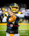 #ok3sports, high, school, football, ok3sports, sports, high school, playoffs, round one, springfield wildcats, springfield wildcats football, springfield high school, springfield wild cats football, fairmont firebirds, fairmont firebirds football, fairmont high school, ohsaa regional, quarterfinals, raheim moss, Tayveon Smoot