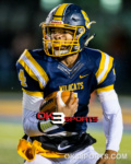 #ok3sports, high, school, football, ok3sports, sports, high school, playoffs, round one, springfield wildcats, springfield wildcats football, springfield high school, springfield wild cats football, fairmont firebirds, fairmont firebirds football, fairmont high school, ohsaa regional, quarterfinals, raheim moss, Tayveon Smoot